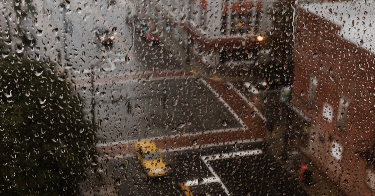 Comparing DIY vs Professional Repair Options for Glass Windows