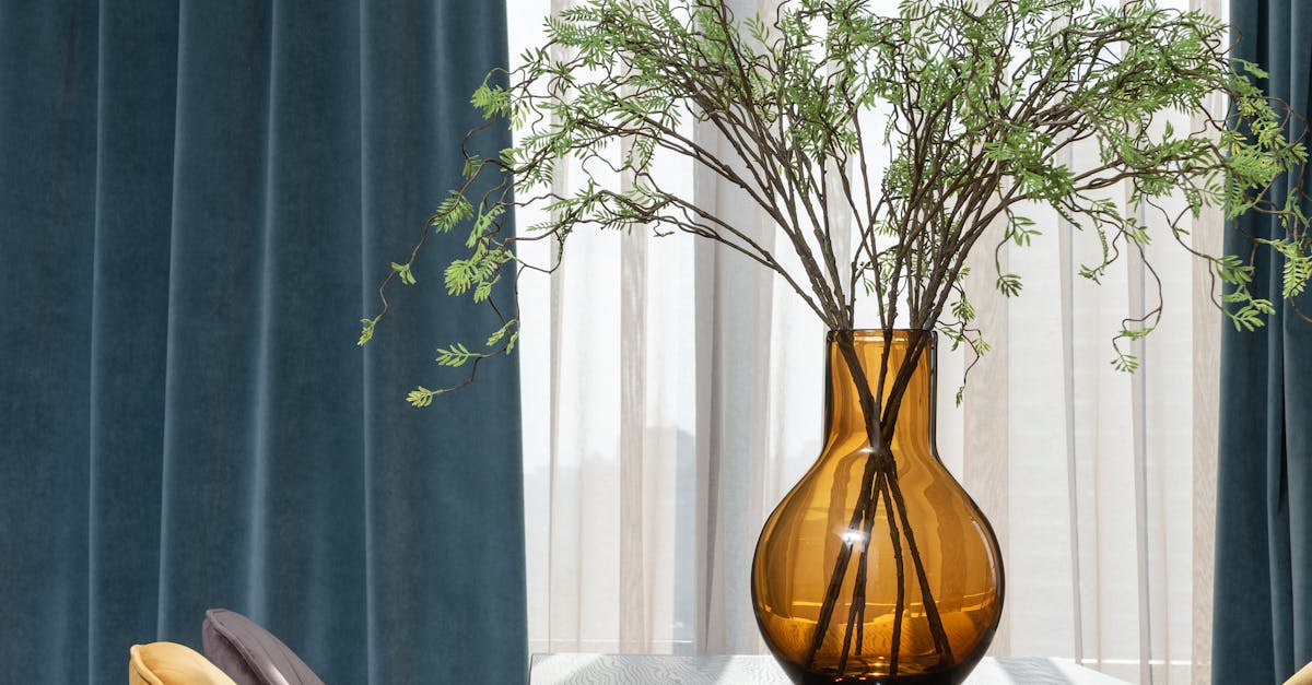 Essential Questions to Ask Your Glass Window Repair Provider