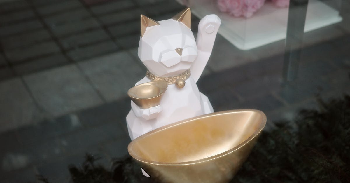 Exploring Environmental Practices of Glass Window Suppliers