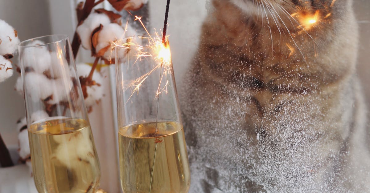 The Importance of Timely Repairs for Glass Windows