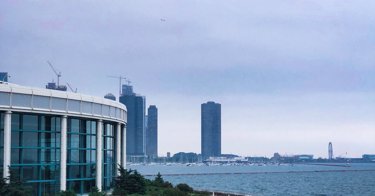 The Role of Window Safety Regulations in Design and Installation