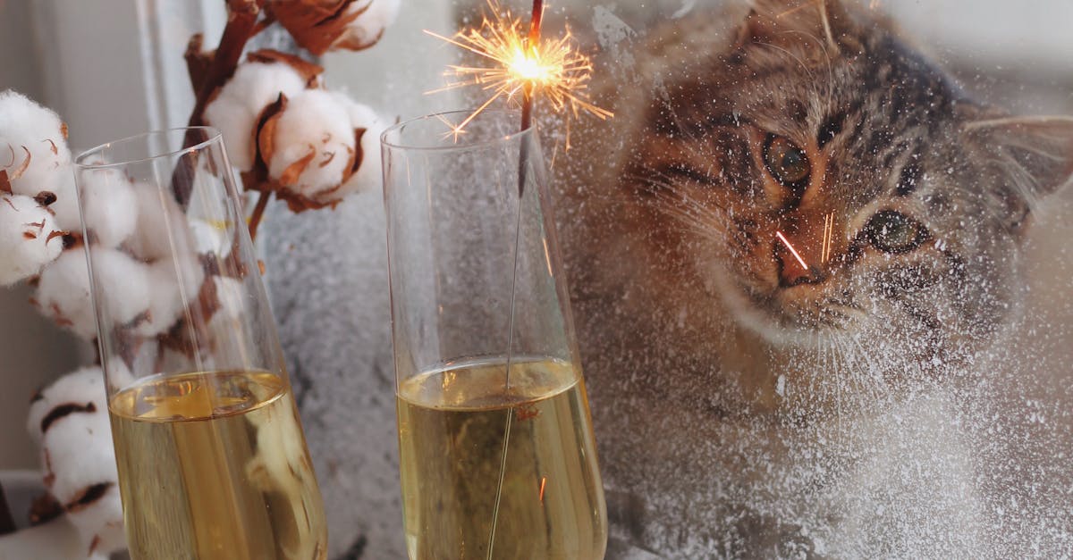 Understanding the Importance of Insured Installation Services